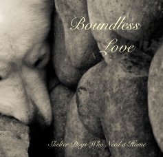 Boundless Love book cover