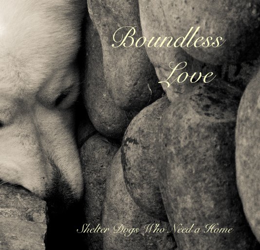 Bekijk Boundless Love op Lola Productions
