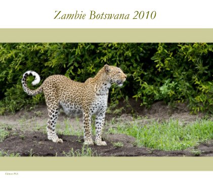 Zambie Botswana 2010 book cover