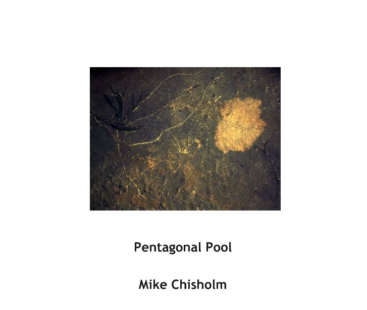 View Pentagonal Pool by Mike Chisholm