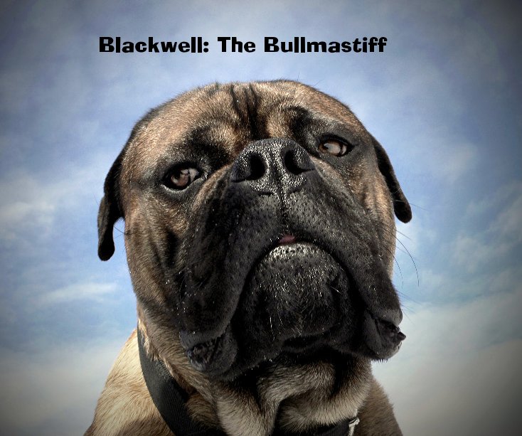 View Blackwell: The Bullmastiff by Scott A. Spychalski