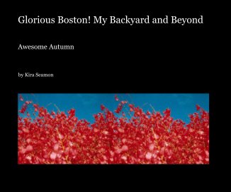Glorious Boston! My Backyard and Beyond book cover