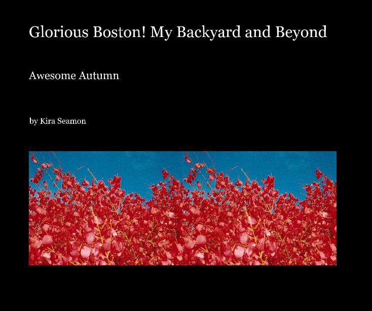 View Glorious Boston! My Backyard and Beyond by Kira Seamon