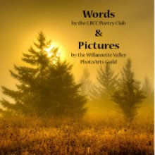 Words & Pictures .v2 book cover