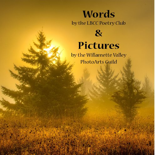 View Words & Pictures .v2 by Rich Bergeman