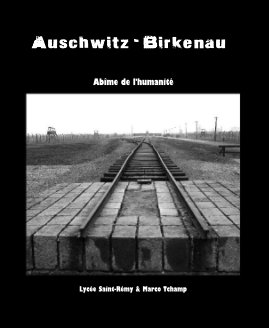 Auschwitz - Birkenau book cover