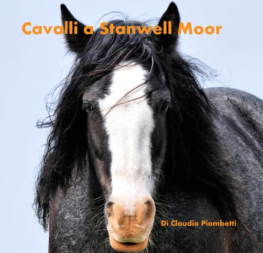 View Cavalli a Stanwell Moor by Claudio Piombetti