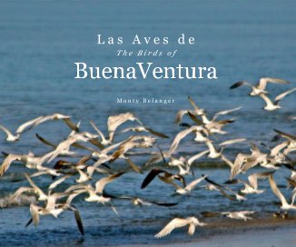 Las Aves de  Buenaventura book cover