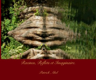 Racines, Reflets et Imaginaire. book cover