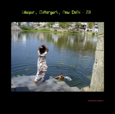 Udaipur, Chittorgarh, New Delhi - 2011 book cover