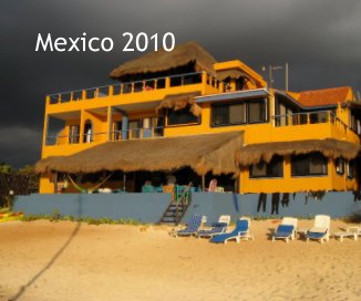 mexico 2010 book cover