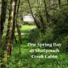 One Spring Day at Shotpouch Creek Cabin book cover