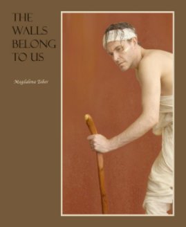 The walls belong to us book cover