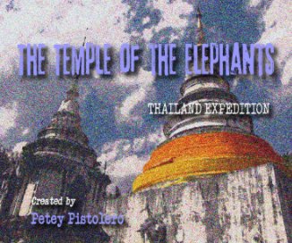 The Temple of the Elephants book cover
