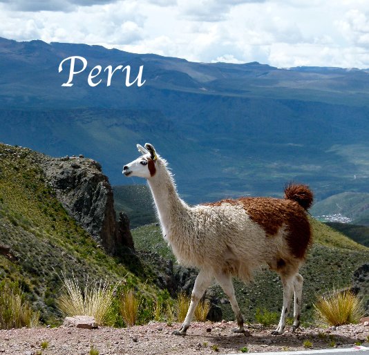 View Peru by bcraig