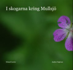 I skogarna kring Mullsjö book cover