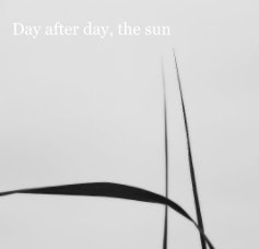 Day after day, the sun book cover