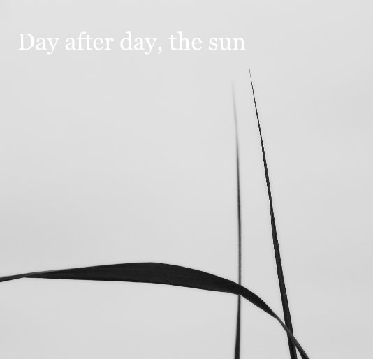 Ver Day after day, the sun por María Ayllón