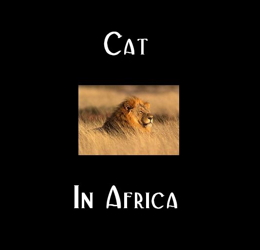 Cat In Africa nach KT anzeigen