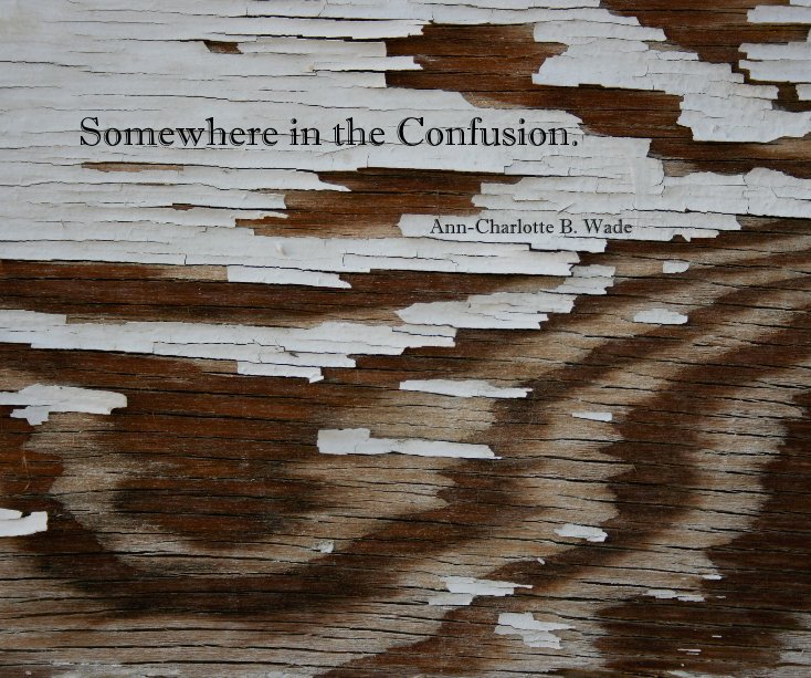 View Somewhere in the Confusion. by Ann-Charlotte Wade