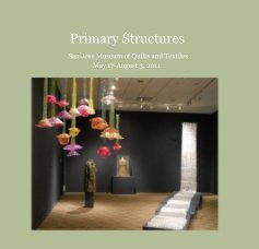 Primary Structures book cover