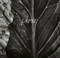LAPSE book cover