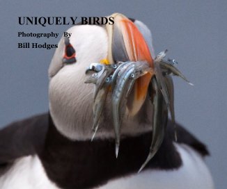UNIQUELY BIRDS book cover