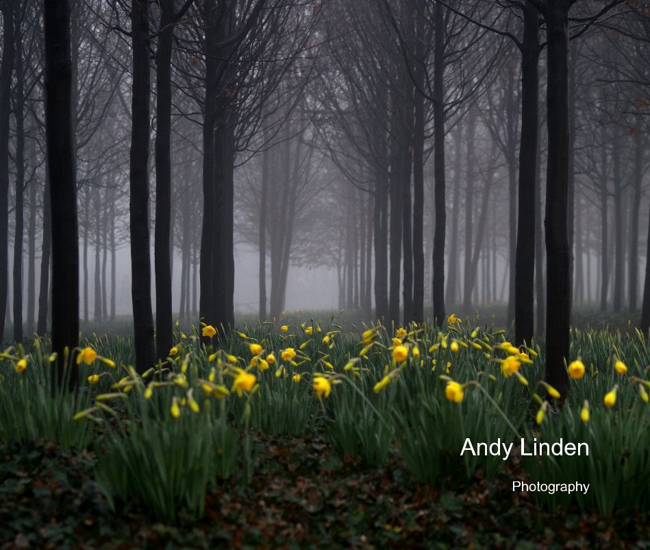 View photography by Andy Linden