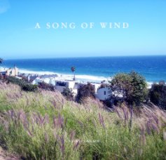 A Song of Wind book cover