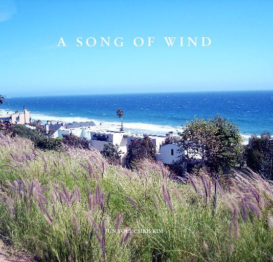 View A Song of Wind by Jun Yoel Chris Kim