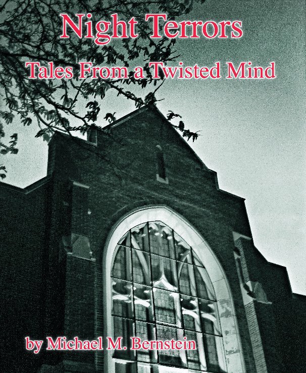 View Night Terrors Tales From a Twisted Mind by Michael M. Bernstein