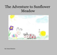 The Adventure to Sunflower Meadow book cover