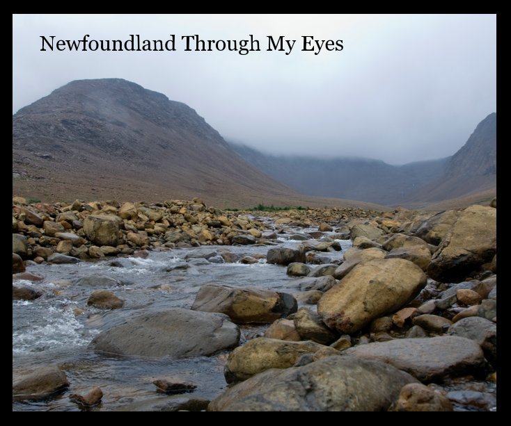 View Newfoundland Through My Eyes by Karen Casey
