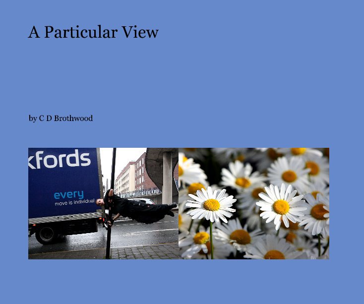 View A Particular View by C D Brothwood