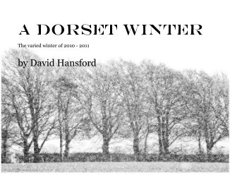 A Dorset Winter book cover