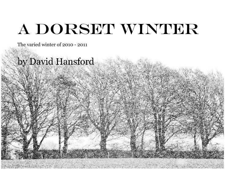 View A Dorset Winter by David Hansford