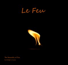 Le Feu book cover