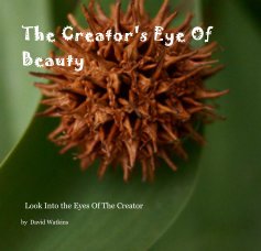 The Creator's Eye Of Beauty book cover