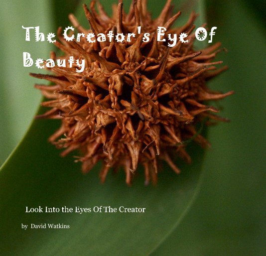 Ver The Creator's Eye Of Beauty por David Watkins