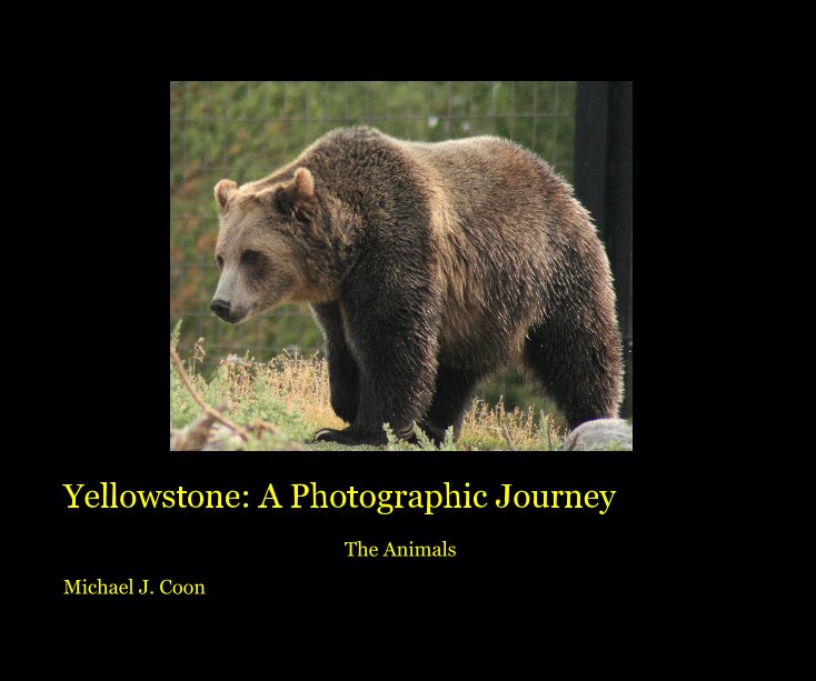 Yellowstone: A Photographic Journey nach Michael J. Coon anzeigen