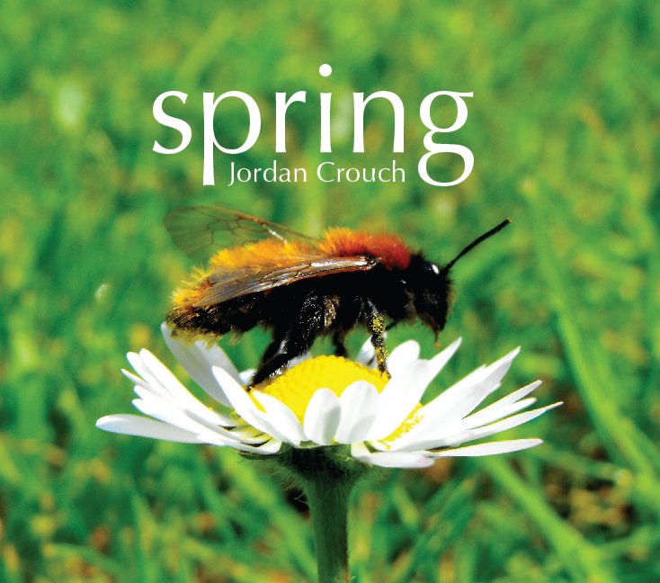 View Spring by Jordan Crouch