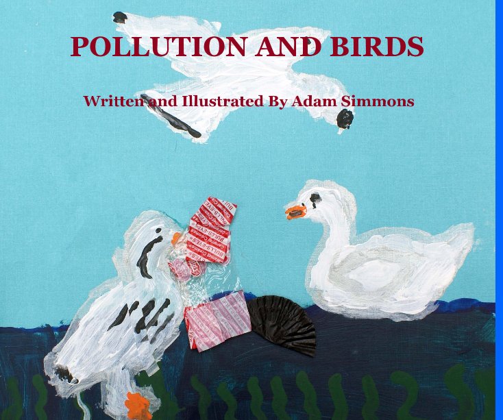 View POLLUTION AND BIRDS by Written and Illustrated By Adam Simmons