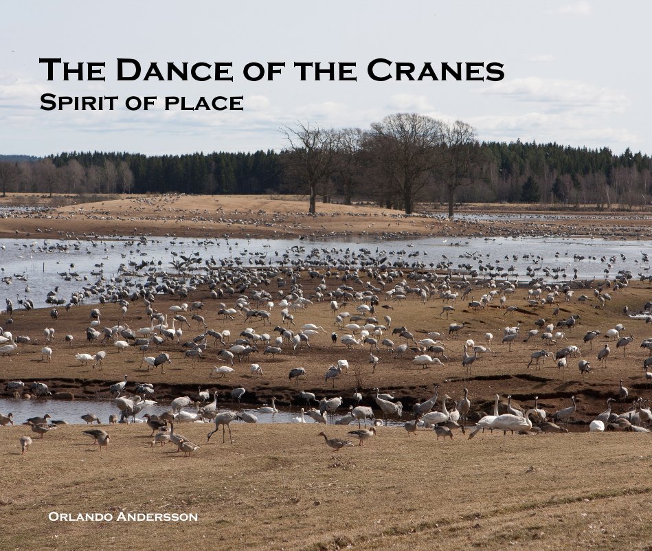 View The Dance of the Cranes by Orlando Andersson