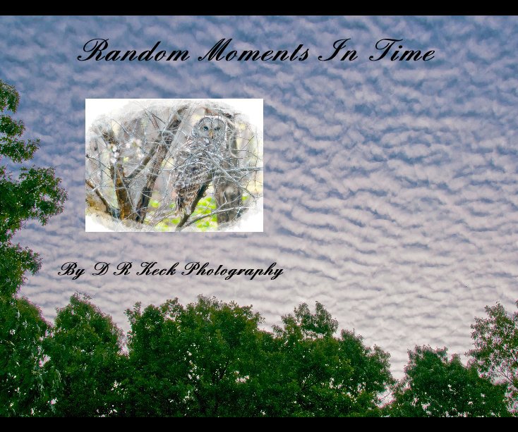 View Random Moments In Time by D R Keck Photography