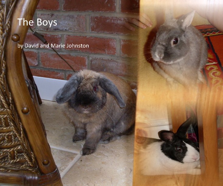 View The Boys by David and Marie Johnston