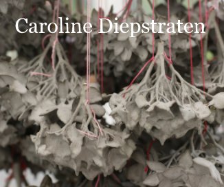 Caroline Diepstraten book cover