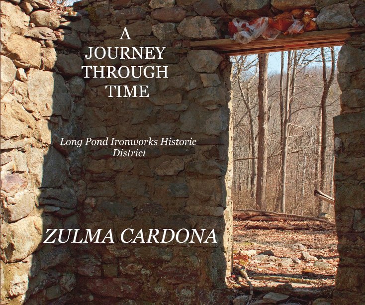 A JOURNEY THROUGH TIME by ZULMA CARDONA  Blurb Books