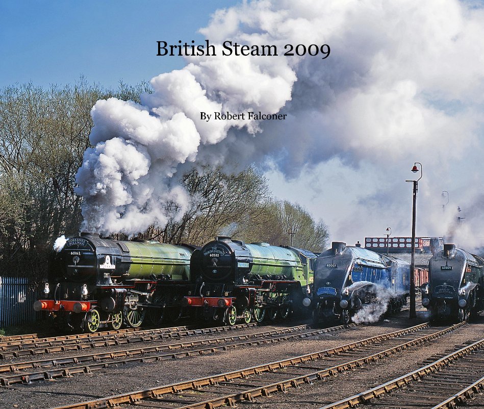 View British Steam 2009 by Robert Falconer