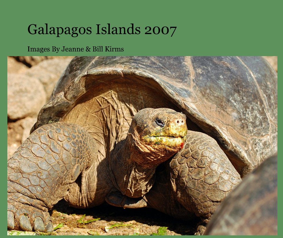 Ver Galapagos Islands 2007 por billkirms