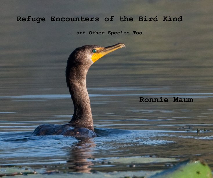 View Refuge Encounters of the Bird Kind by Ronnie Maum